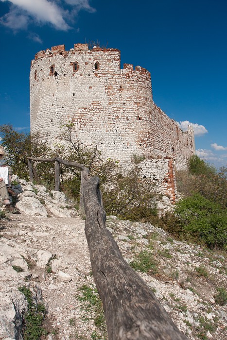 img00002.jpg