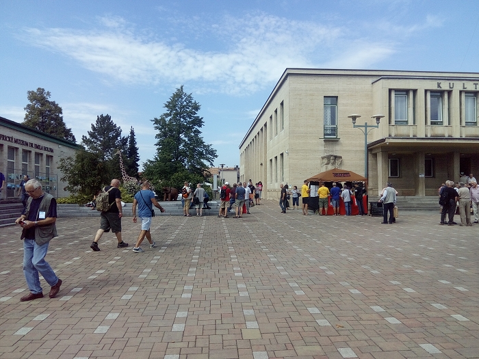 img00091.jpg